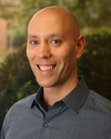 Tracy D. Hall, PhD